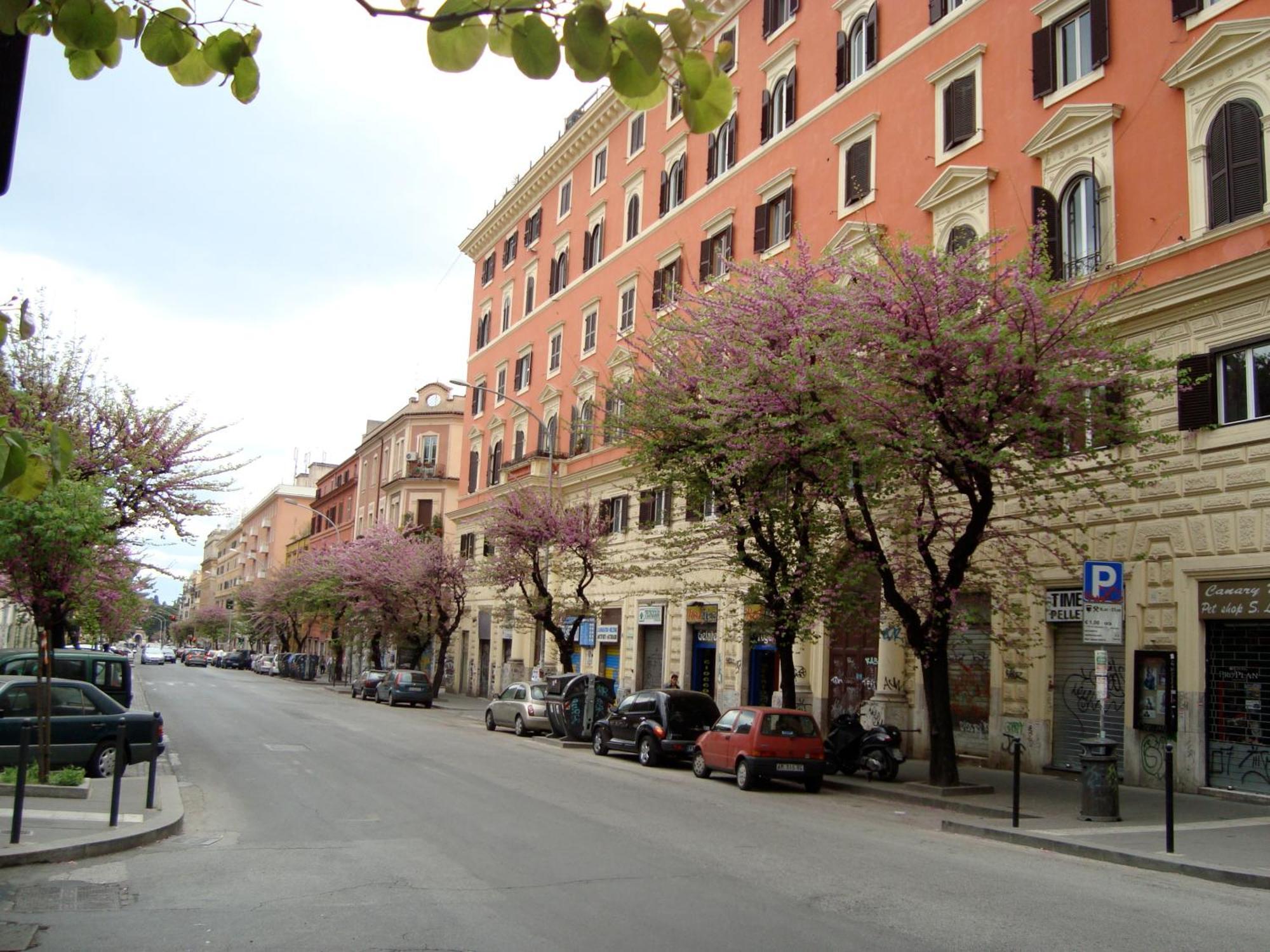 San Lorenzo Di Massimo & Luisa Appartamento